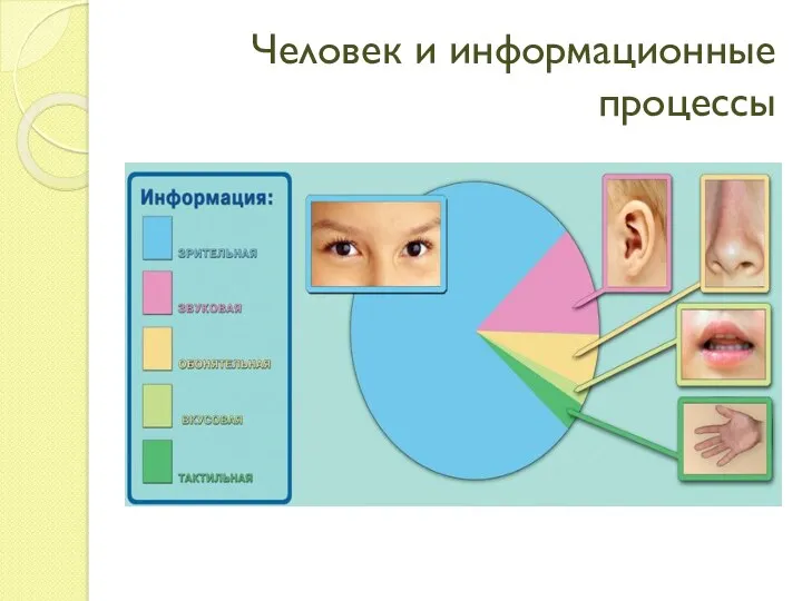 Человек и информационные процессы