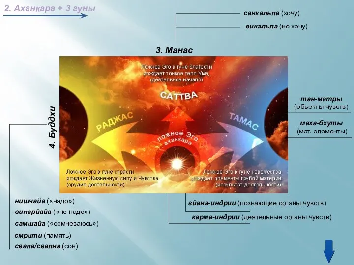 2. Аханкара + 3 гуны 3. Манас санкальпа (хочу) викальпа