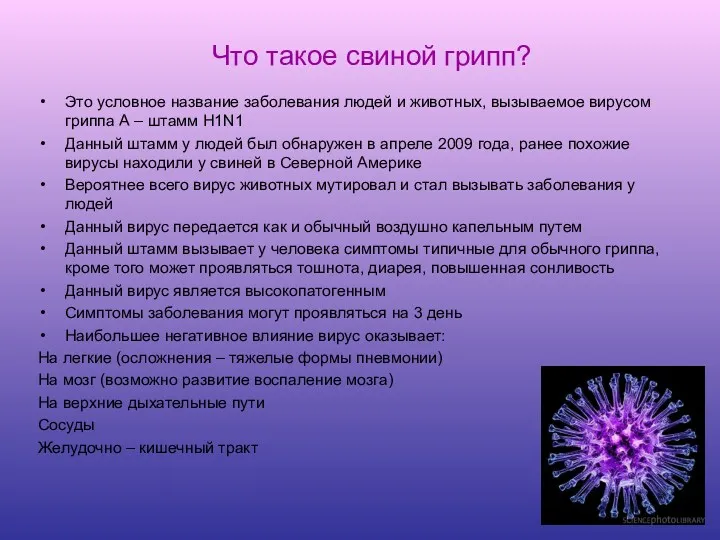 Что такое свиной грипп? Это условное название заболевания людей и животных, вызываемое вирусом