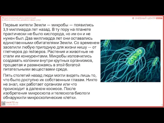 Первые жители Земли — микробы — появились 3,9 миллиарда лет