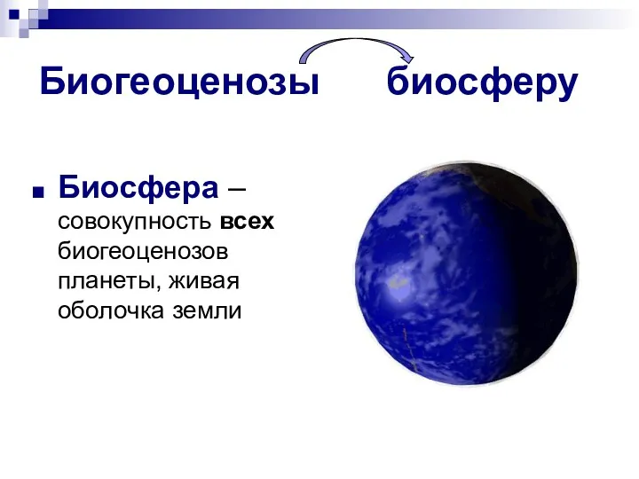 Биогеоценозы биосферу Биосфера – совокупность всех биогеоценозов планеты, живая оболочка земли