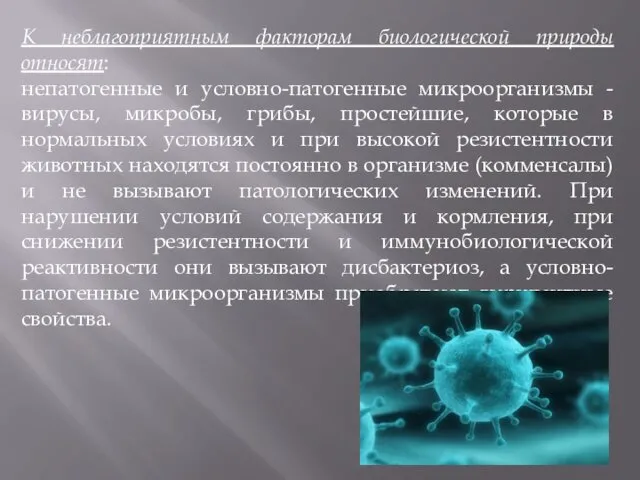 К неблагоприятным факторам биологической природы относят: непатогенные и условно-патогенные микроорганизмы