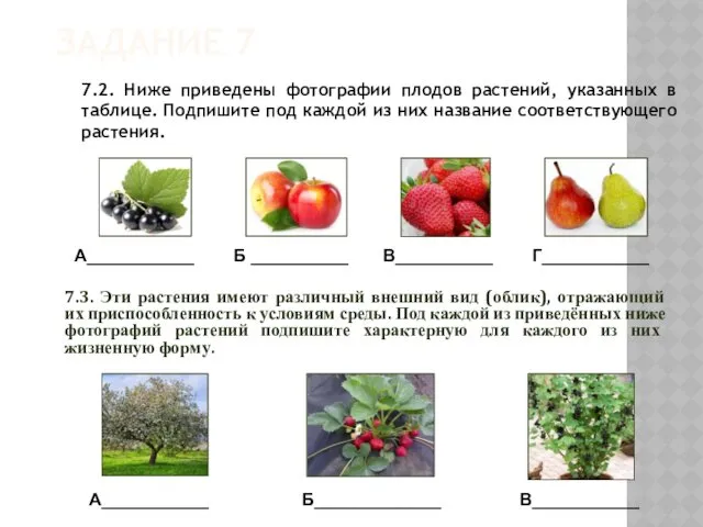 ЗАДАНИЕ 7 7.2. Ниже приведены фотографии плодов растений, указанных в таблице. Подпишите под