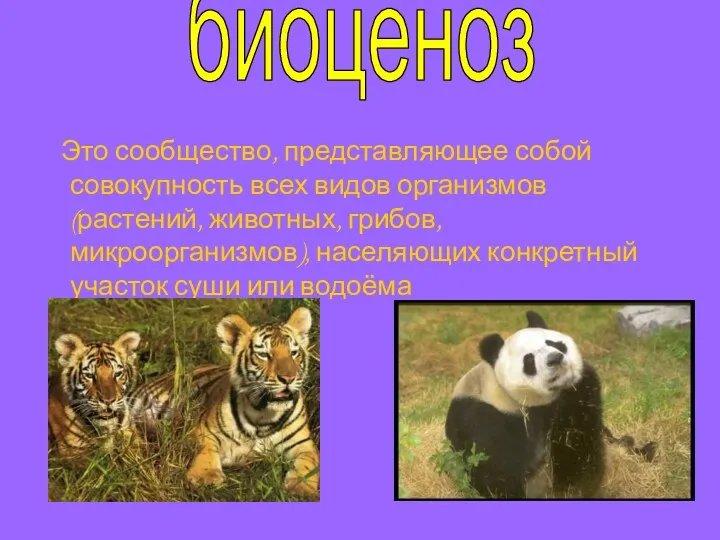 Это сообщество, представляющее собой совокупность всех видов организмов (растений, животных,