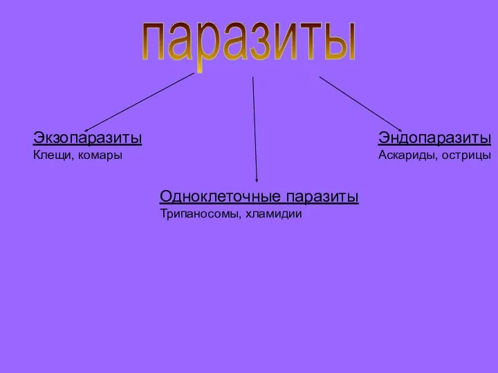 паразиты Экзопаразиты Клещи, комары Одноклеточные паразиты Трипаносомы, хламидии Эндопаразиты Аскариды, острицы