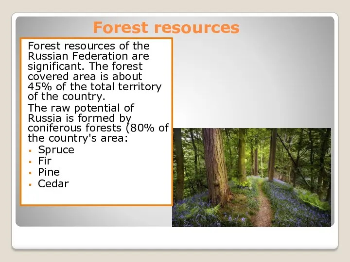 Forest resources Forest resources of the Russian Federation are significant.