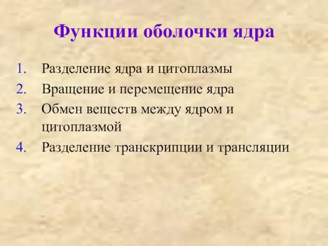 Функции оболочки ядра Разделение ядра и цитоплазмы Вращение и перемещение