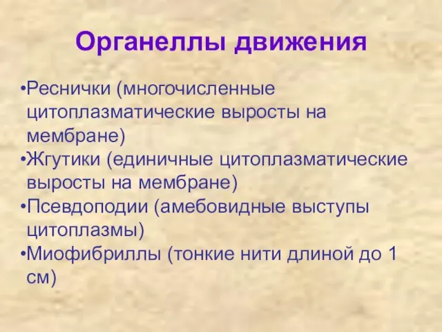 Органеллы движения Реснички (многочисленные цитоплазматические выросты на мембране) Жгутики (единичные