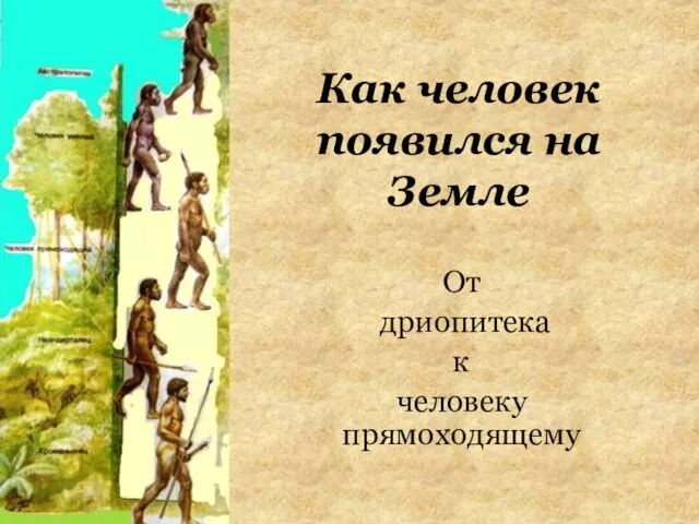 Как человек появился на Земле. От дриопитека к человеку прямоходящему