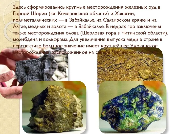 Здесь сформировались крупные месторождения железных руд в Горной Шории (юг Кемеровской области) и