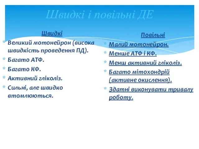 Швидкі і повільні ДЕ Швидкі Великий мотонейрон (висока швидкість проведення