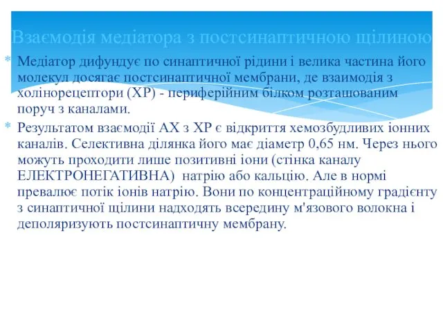 Медіатор дифундує по синаптичної рідини і велика частина його молекул