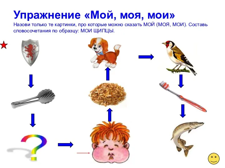 Упражнение «Мой, моя, мои» Назови только те картинки, про которые можно сказать МОЙ