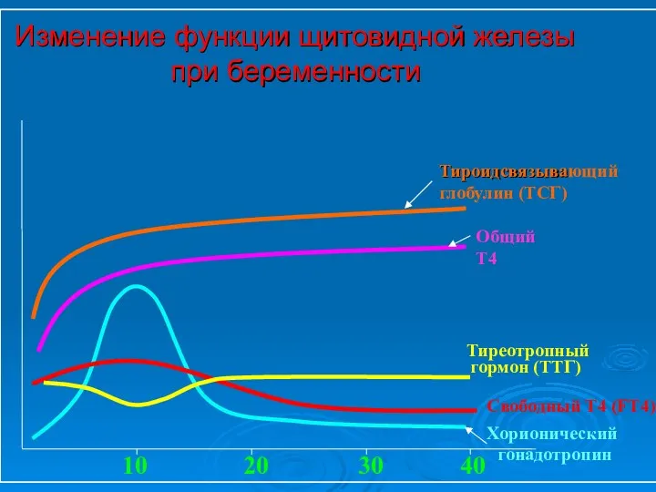 Изменение функции щитовидной железы Изменение функции щитовидной железы при беременности