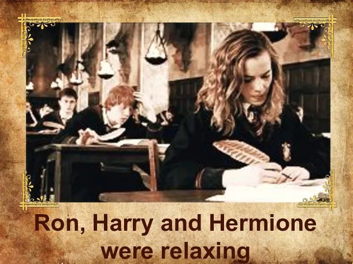 Ron, Harry and Hermione were relaxing