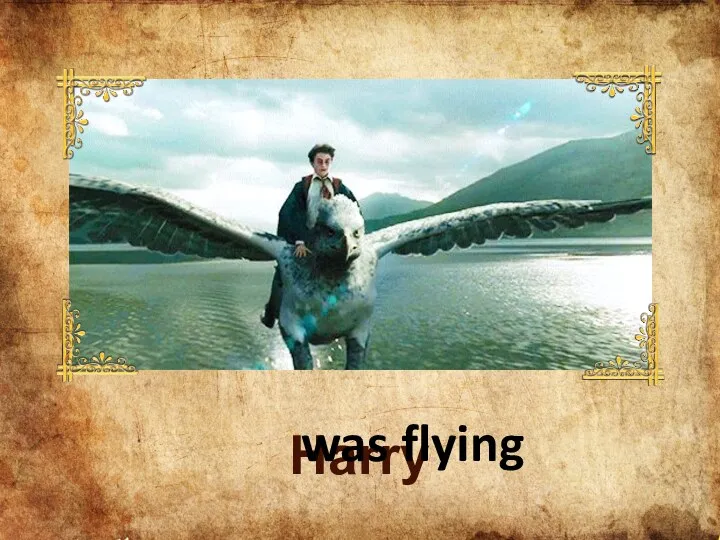 Harry ___________ was flying
