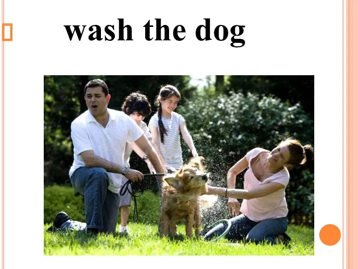 wash the dog