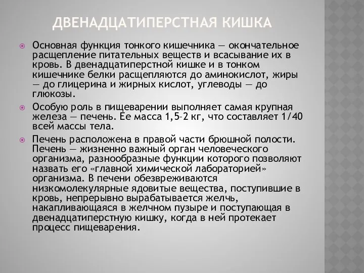 ДВЕНАДЦАТИПЕРСТНАЯ КИШКА Основная функция тонкого кишечника — окончательное расщепление питательных