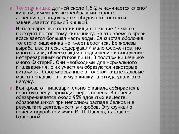 Толстая кишка длиной около 1,5–2 м начинается слепой кишкой, имеющей