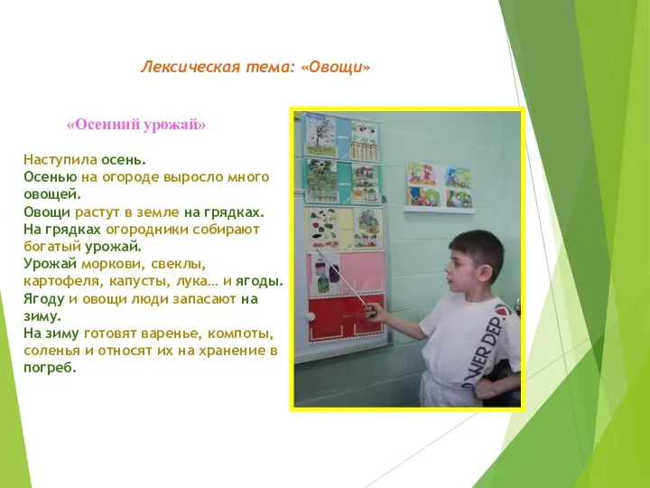 «Осенний урожай» Наступила осень. Осенью на огороде выросло много овощей.