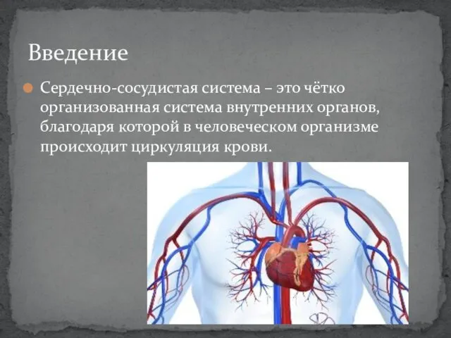 Сердечно-сосудистая система – это чётко организованная система внутренних органов, благодаря