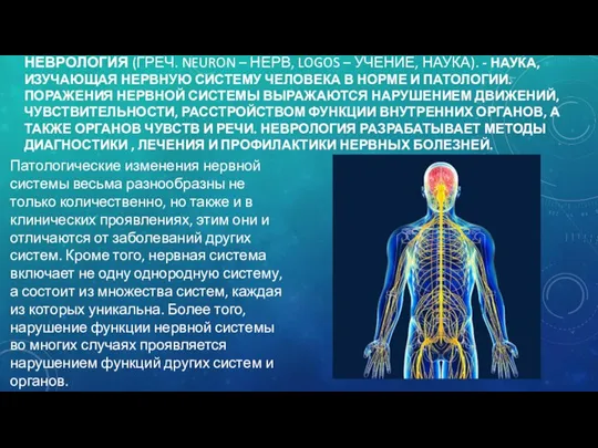 НЕВРОЛОГИЯ (ГРЕЧ. NEURON – НЕРВ, LOGOS – УЧЕНИЕ, НАУКА). -