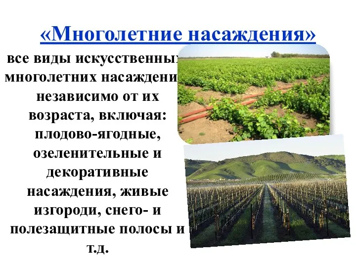 «Многолетние насаждения» все виды искусственных многолетних насаждений, независимо от их