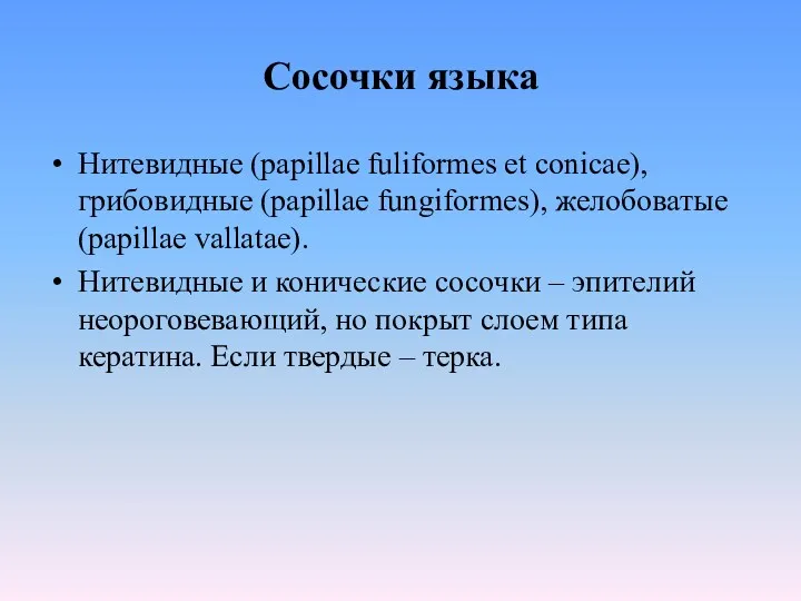 Сосочки языка Нитевидные (papillae fuliformes et conicae), грибовидные (papillae fungiformes),