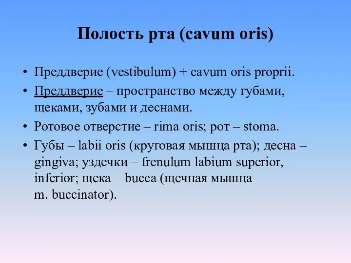 Полость рта (cavum oris) Преддверие (vestibulum) + cavum oris proprii.