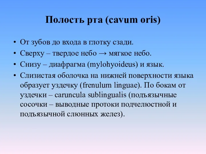 Полость рта (cavum oris) От зубов до входа в глотку