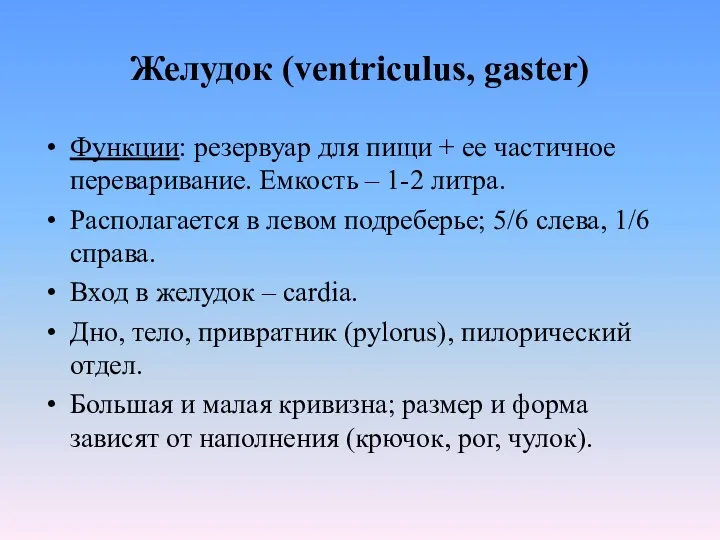 Желудок (ventriculus, gaster) Функции: резервуар для пищи + ее частичное