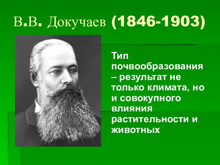 В.В. Докучаев (1846-1903) Тип почвообразования – результат не только климата,