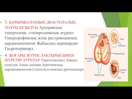 3. ҚАРЫНШАЛАРДЫҢ ДИАСТОЛАЛЫҚ ТОЛУЫ БҰЗЫЛУЫ Артериялық гипертония, «гипертониялық жүрек» Гипертрофиялық және рестрикциялық кардиомиопатия