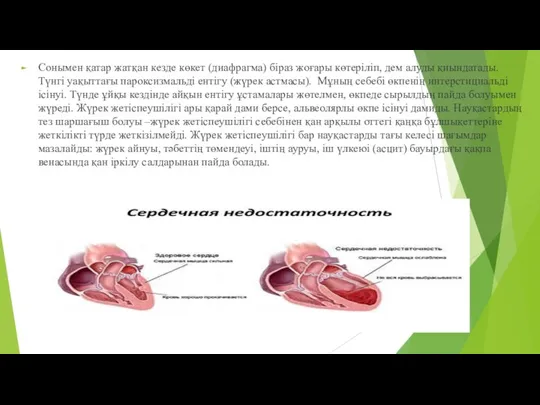 Сонымен қатар жатқан кезде көкет (диафрагма) біраз жоғары көтеріліп, дем алуды қиындатады. Түнгі