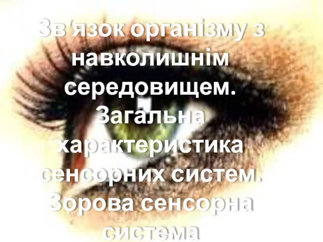 Зв‘язок організму з навколишнім середовищем. Загальна характеристика сенсорних систем. Зорова сенсорна система