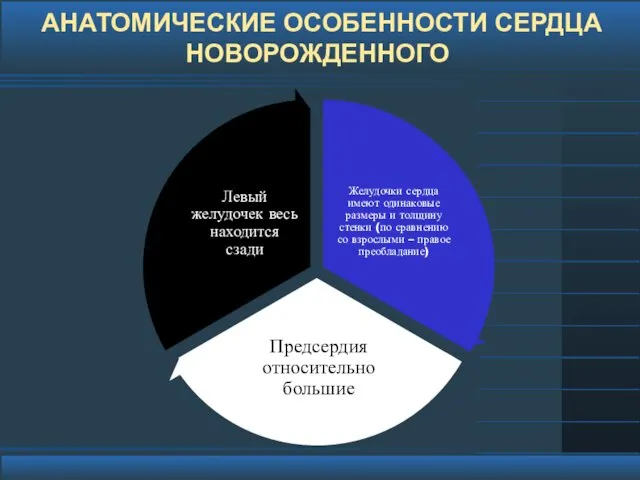 АНАТОМИЧЕСКИЕ ОСОБЕННОСТИ СЕРДЦА НОВОРОЖДЕННОГО