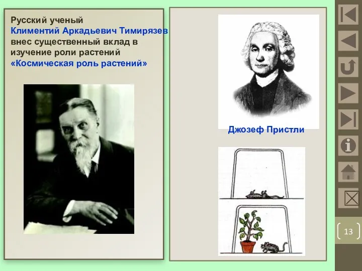 Русский ученый Климентий Аркадьевич Тимирязев внес существенный вклад в изучение