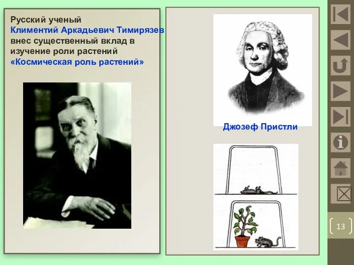 Русский ученый Климентий Аркадьевич Тимирязев внес существенный вклад в изучение роли растений «Космическая