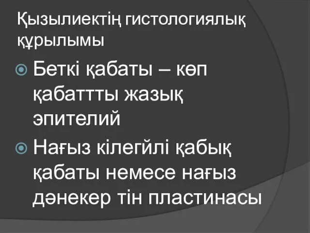 Қызылиектің гистологиялық құрылымы Беткі қабаты – көп қабаттты жазық эпителий