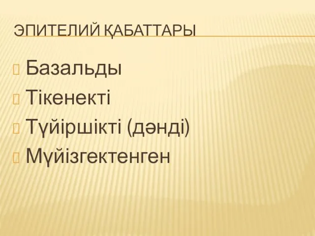 ЭПИТЕЛИЙ ҚАБАТТАРЫ Базальды Тікенекті Түйіршікті (дәнді) Мүйізгектенген