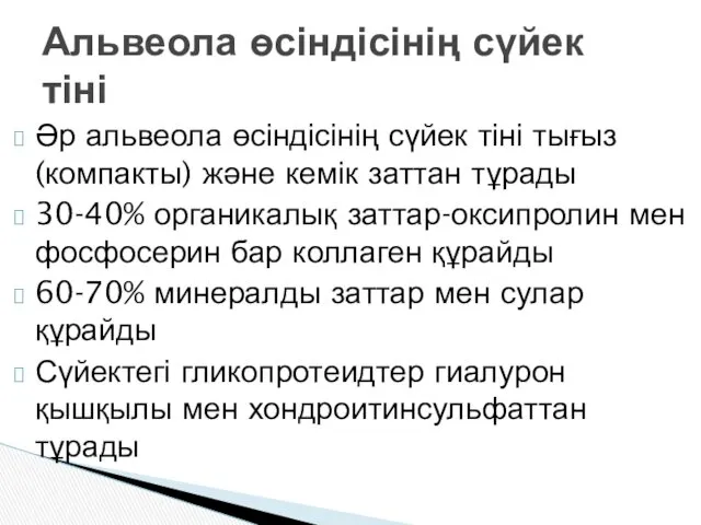 Әр альвеола өсіндісінің сүйек тіні тығыз (компакты) және кемік заттан