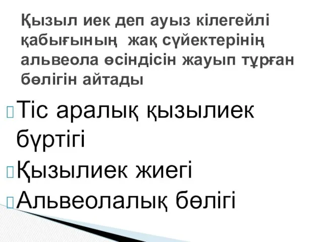 Тіс аралық қызылиек бүртігі Қызылиек жиегі Альвеолалық бөлігі Қызыл иек