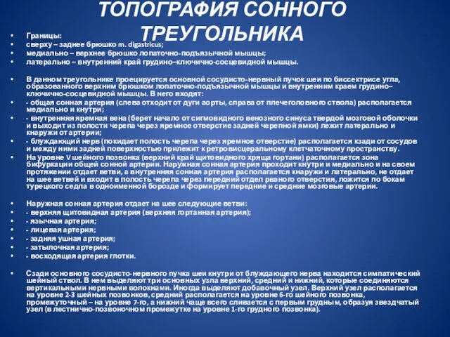 ТОПОГРАФИЯ СОННОГО ТРЕУГОЛЬНИКА Границы: сверху – заднее брюшко m. digastricus;