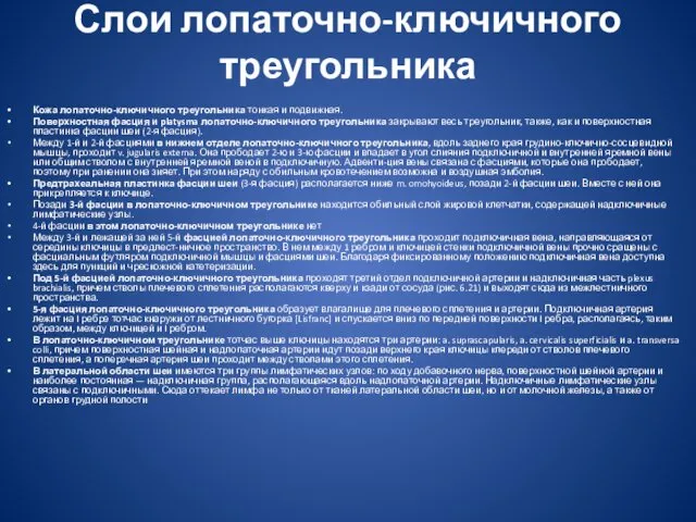 Слои лопаточно-ключичного треугольника Кожа лопаточно-ключичного треугольника тонкая и подвижная. Поверхностная