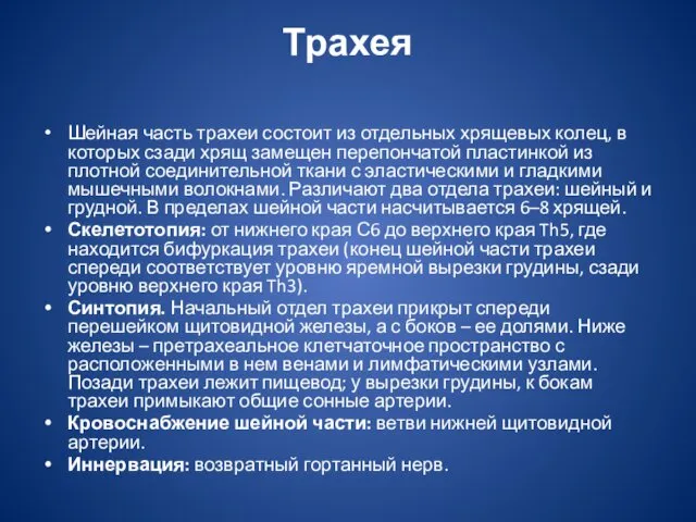 Трахея Шейная часть трахеи состоит из отдельных хрящевых колец, в