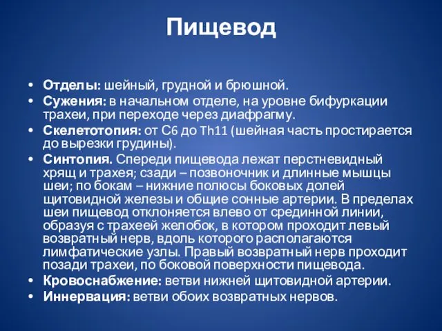 Пищевод Отделы: шейный, грудной и брюшной. Сужения: в начальном отделе,