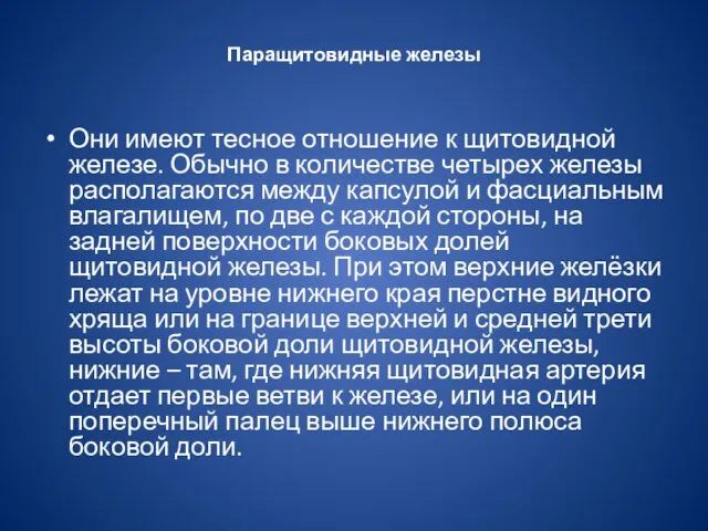 Паращитовидные железы Они имеют тесное отношение к щитовидной железе. Обычно