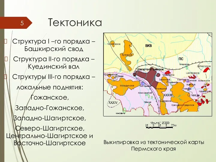 Тектоника Структура I –го порядка – Башкирский свод Структура II-го