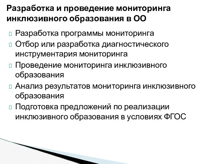 Разработка и проведение мониторинга инклюзивного образования в ОО Разработка программы