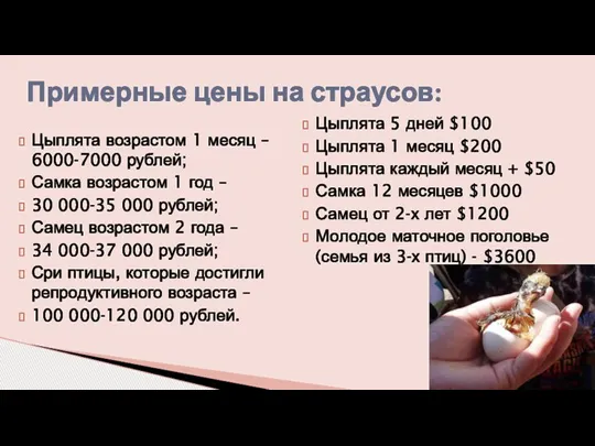 Цыплята возрастом 1 месяц – 6000-7000 рублей; Самка возрастом 1